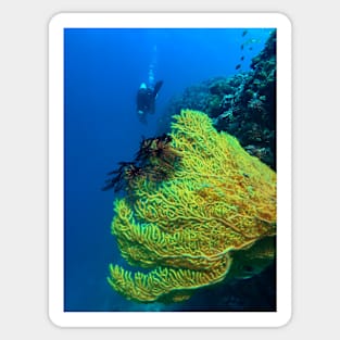 scuba diver and yellow sea fan Sticker